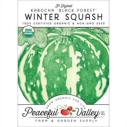 Kabocha Winter Squash Seeds (Organic) - Grow Organic Kabocha Winter Squash Seeds (Organic) Vegetable Seeds