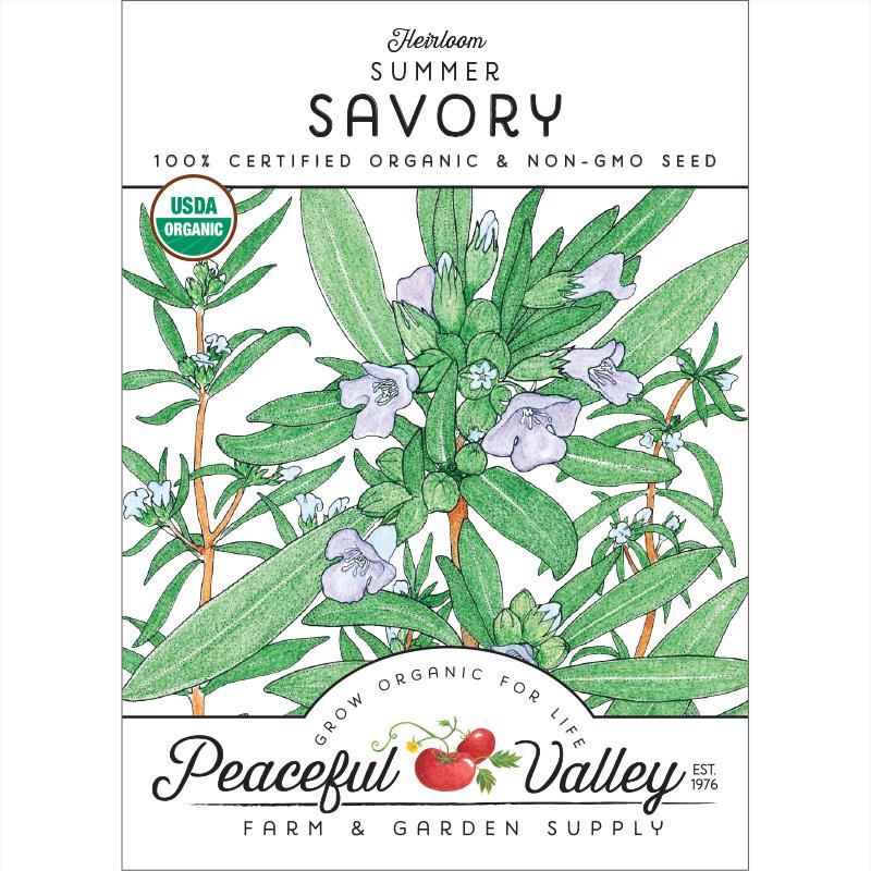 Organic Summer Savory - Grow Organic Organic Summer Savory Herb Seeds
