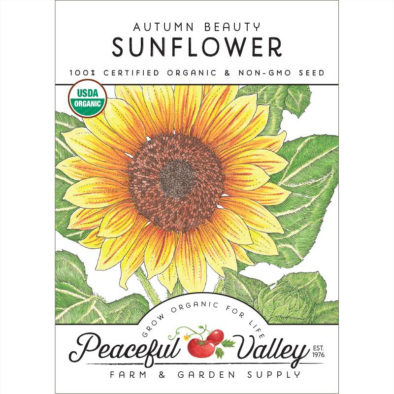 Organic Sunflower, Autumn Beauty (pack) - Grow Organic Organic Sunflower, Autumn Beauty (pack) Flower Seed & Bulbs