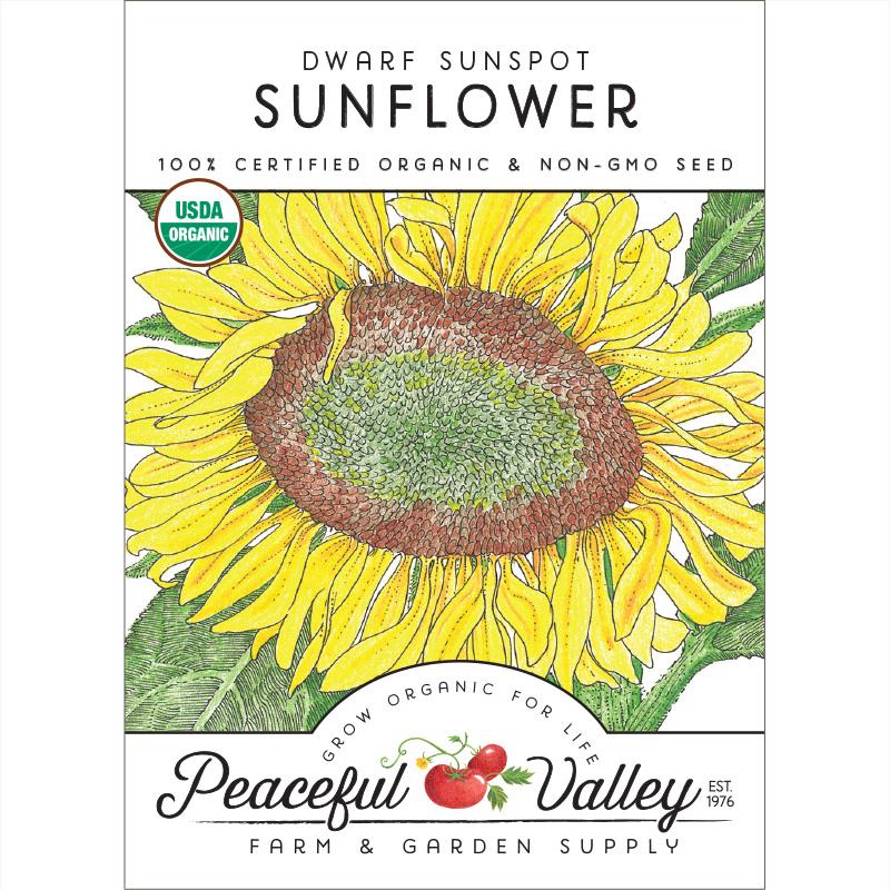 Organic Sunflower, Dwarf Sunspot (pack) - Grow Organic Organic Sunflower, Dwarf Sunspot (pack) Flower Seed & Bulbs