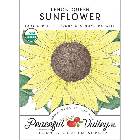 Organic Sunflower, Lemon Queen (pack) - Grow Organic Organic Sunflower, Lemon Queen (pack) Flower Seed & Bulbs