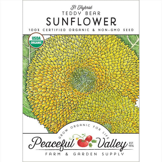 Organic Sunflower, Teddy Bear - Grow Organic Organic Sunflower, Teddy Bear Flower Seed & Bulbs
