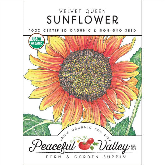 Organic Sunflower, Velvet Queen (pack) - Grow Organic Organic Sunflower, Velvet Queen (pack) Flower Seed & Bulbs