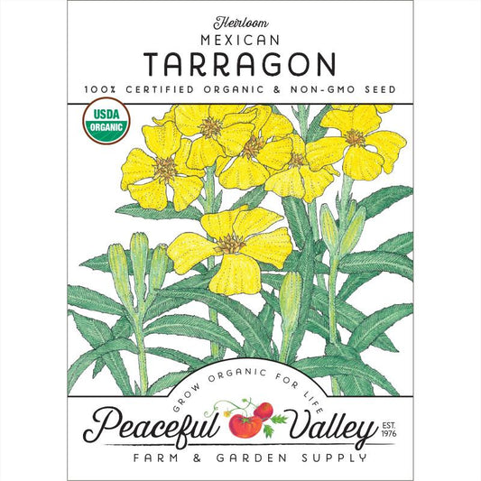 Organic Tarragon, Mexican - Grow Organic Organic Tarragon, Mexican Herb Seeds