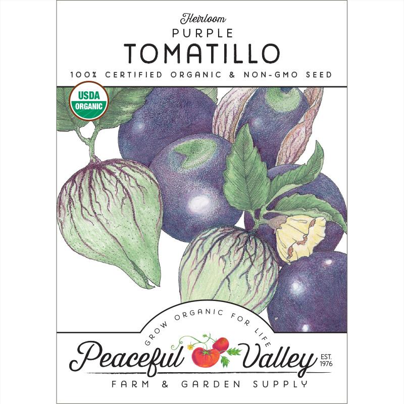 Purple Tomatillo Seeds (Organic) - Grow Organic Purple Tomatillo Seeds (Organic) Vegetable Seeds