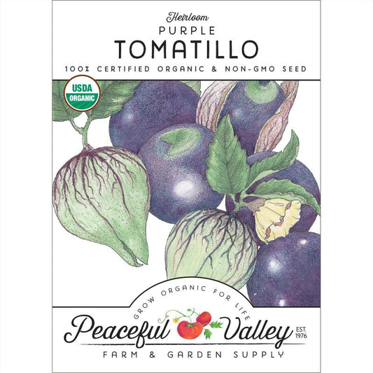 Purple Tomatillo Seeds (Organic) - Grow Organic Purple Tomatillo Seeds (Organic) Vegetable Seeds