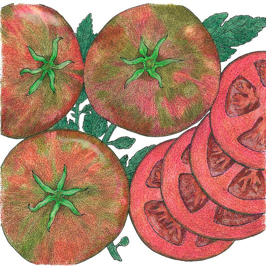 Organic Tomato, Cherokee Purple (1 oz) - Grow Organic Organic Tomato, Cherokee Purple (1 oz) Vegetable Seeds