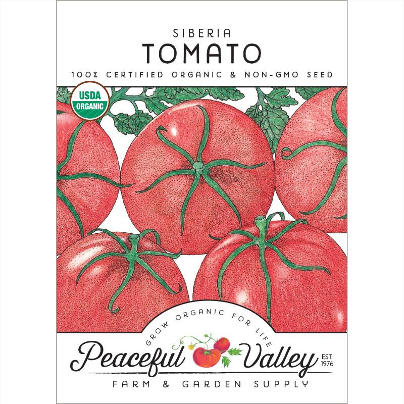 Siberia Tomato Seeds (Organic) - Grow Organic Siberia Tomato Seeds (Organic) Vegetable Seeds