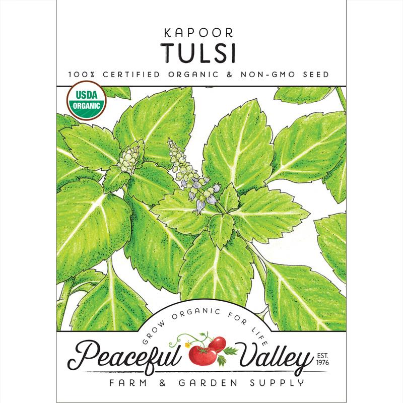 Organic Tulsi, Kapoor - Grow Organic Organic Tulsi, Kapoor Herb Seeds