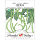 Yard Long Pole Bean Seeds (Organic) - Grow Organic Yard Long Pole Bean Seeds (Organic) Vegetable Seeds