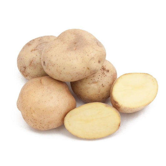 Fall-Planted Organic Yellow Finn Seed Potatoes - Grow Organic Fall-Planted Organic Yellow Finn Seed Potatoes (lb) Potatoes