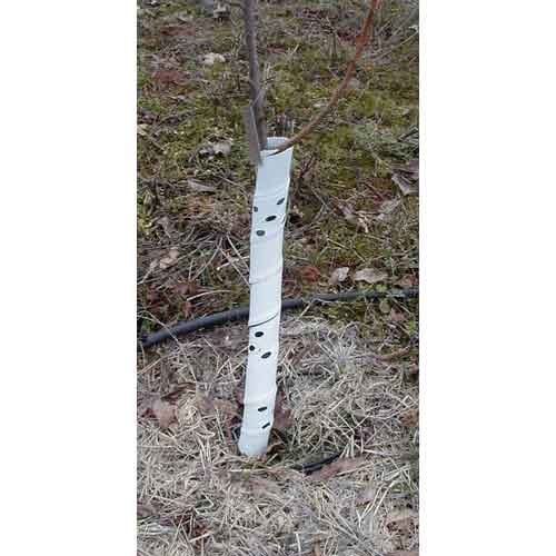 Spiral Tree Guards - 36" (Pack of 5) - Grow Organic Spiral Tree Guards - 36" (Pack of 5) Weed and Pest