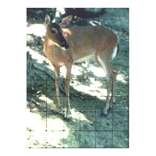 Deer Fencing (7.5'X 330') - Grow Organic Deer Fencing (7.5'X 330') Weed and Pest