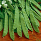 Organic Peas, Sugar Daddy (1/2 lb ) - Grow Organic Organic Peas, Sugar Daddy (1/2 lb ) Vegetable Seeds