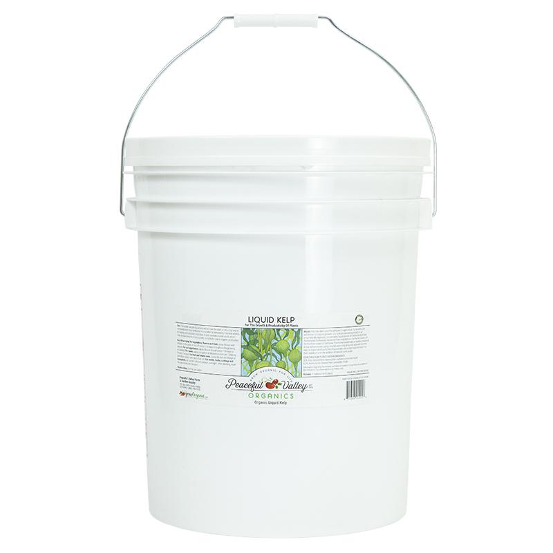 Peaceful Valley Organic Liquid Kelp (5 Gallon) Peaceful Valley Organic Liquid Kelp (5 Gallon) Fertilizer