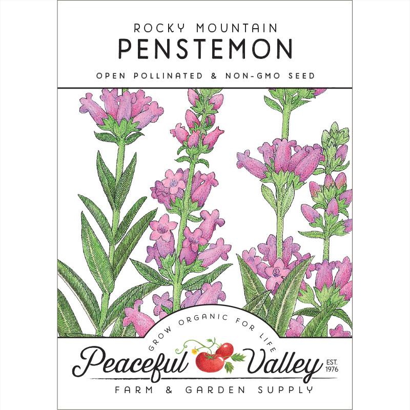 Penstemon, Rocky Mountain (pack) - Grow Organic Penstemon, Rocky Mountain (pack) Flower Seeds