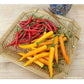 Renees Pepper Chile Thai Duo Orange Full Moon & Red Vesuvius Renee's Garden Pepper Chile Thai Duo Orange Full Moon & Red Vesuvius Vegetable Seeds