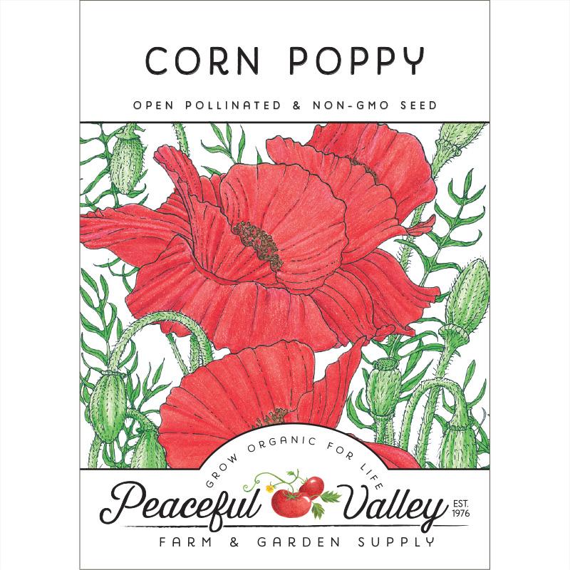 Poppy, Corn (pack) - Grow Organic Poppy, Corn (pack) Flower Seeds
