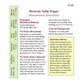 Renee's Garden Poppy Mexican Tulip - Grow Organic Renee's Garden Poppy Mexican Tulip Flower Seed & Bulbs