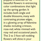 Renee's Garden Poppy Shirley Falling in Love - Grow Organic Renee's Garden Poppy Shirley Falling in Love Flower Seed & Bulbs