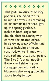 Renee's Garden Poppy Shirley Falling in Love - Grow Organic Renee's Garden Poppy Shirley Falling in Love Flower Seed & Bulbs