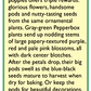 Renee's Garden Poppy Pepperbox (Heirloom) - Grow Organic Renee's Garden Poppy Pepperbox (Heirloom) Herb Seeds