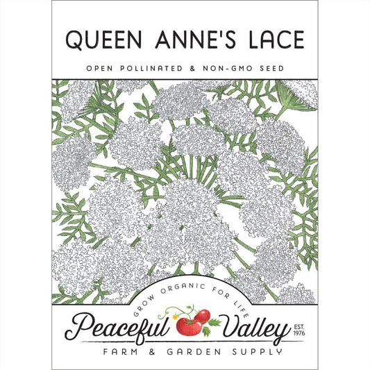 Queen Anne's Lace (pack) - Grow Organic Queen Anne's Lace (pack) Flower Seeds