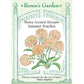 Renee's Garden Alyssum Summer Peaches - Grow Organic Renee's Garden Alyssum Summer Peaches Flower Seed & Bulbs
