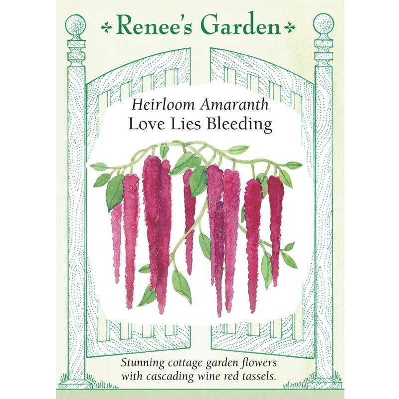 Renee's Garden Amaranth Love Lies Bleeding (Heirloom) Renee's Garden Amaranth Love Lies Bleeding (Heirloom) Flower Seed & Bulbs