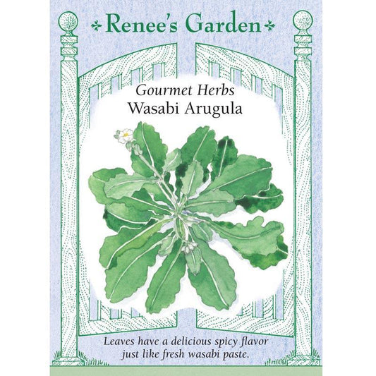 Renee's Garden Arugula Wasabi - Grow Organic Renee's Garden Arugula Wasabi Vegetable Seeds