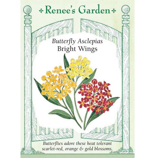 Renee's Garden Asclepias Butterfly Milkweed Bright Wings Renee's Garden Asclepias Butterfly Milkweed Bright Wings Flower Seed & Bulbs