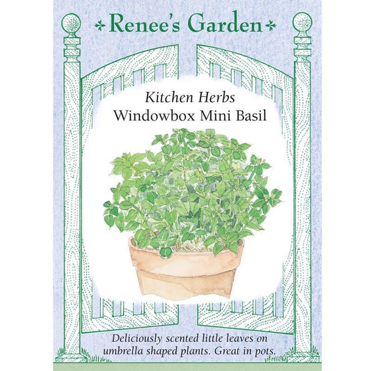 Windowbox Mini Basil Seeds Renee's Garden