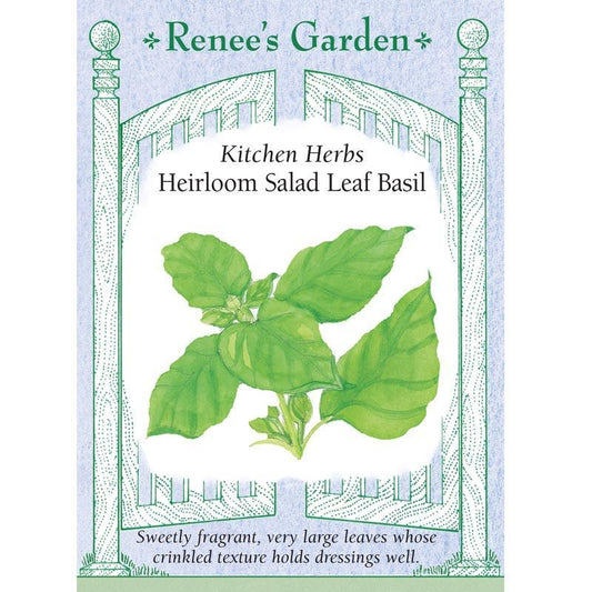 Renee's Garden Basil Salad Leaf (Heirloom) - Grow Organic Renee's Garden Basil Salad Leaf (Heirloom) Herb Seeds