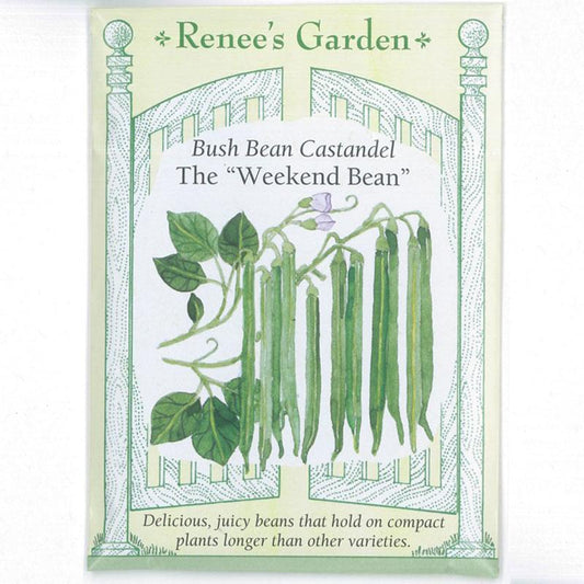 Renee's Garden Bean Bush Castandel Weekend - Grow Organic Renee's Garden Bean Bush Castandel Weekend Vegetable Seeds