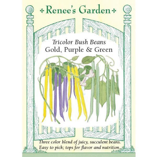 Renee's Garden Bean Bush Tricolor Gold Purple & Green Renee's Garden Bean Bush Tricolor Gold Purple & Green Vegetable Seeds