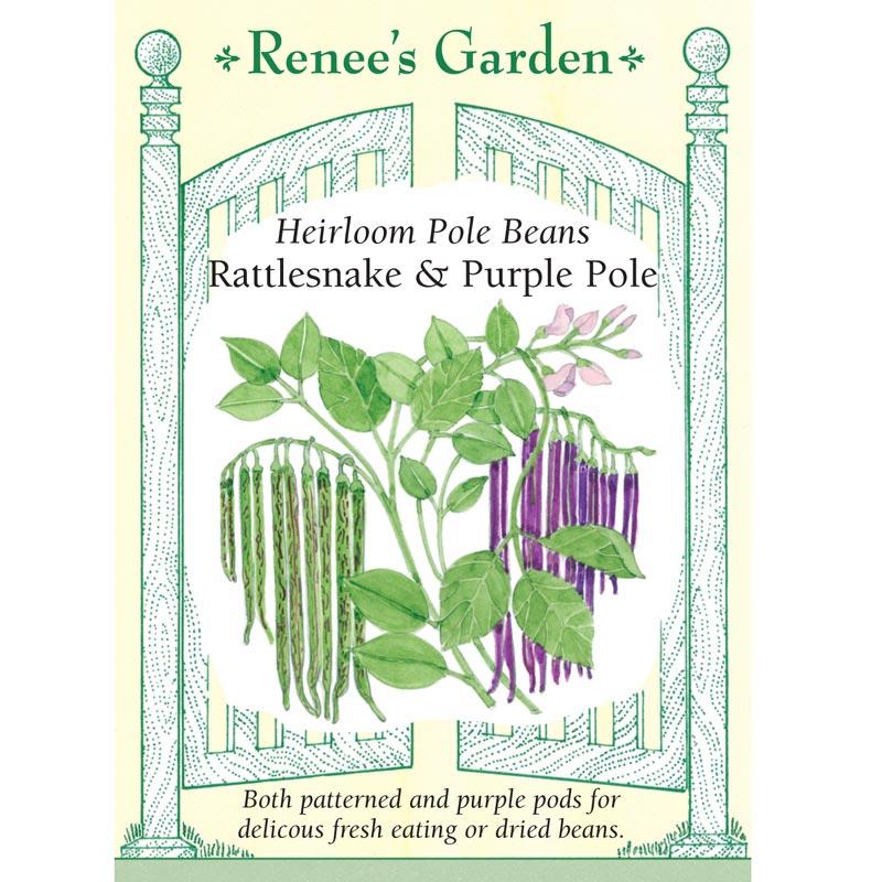Renee's Garden Bean Pole Rattlesnake Ice & Purple Pod Renee's Garden Bean Pole Rattlesnake Ice & Purple Pod (Heirloom) Vegetable Seeds