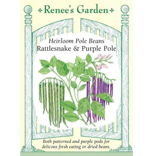 Renee's Garden Bean Pole Rattlesnake Ice & Purple Pod Renee's Garden Bean Pole Rattlesnake Ice & Purple Pod (Heirloom) Vegetable Seeds