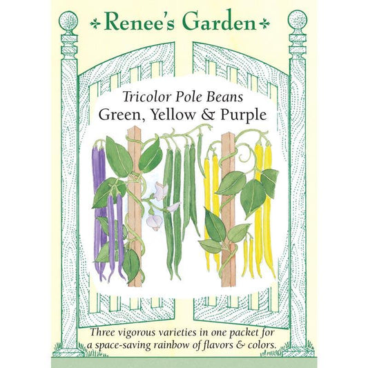 Renee's Garden Bean Pole Tricolor Green Yellow & Purple Renee's Garden Bean Pole Tricolor Green Yellow & Purple Vegetable Seeds