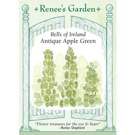 Renee's Garden Bells Of Ireland Antique Apple Green Heirloom Renee's Garden Bells Of Ireland Antique Apple Green (Heirloom) Flower Seed & Bulbs