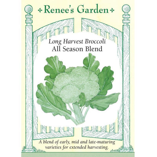 Renee's Garden Broccoli All Season Blend - Grow Organic Renee's Garden Broccoli All Season Blend Vegetable Seeds