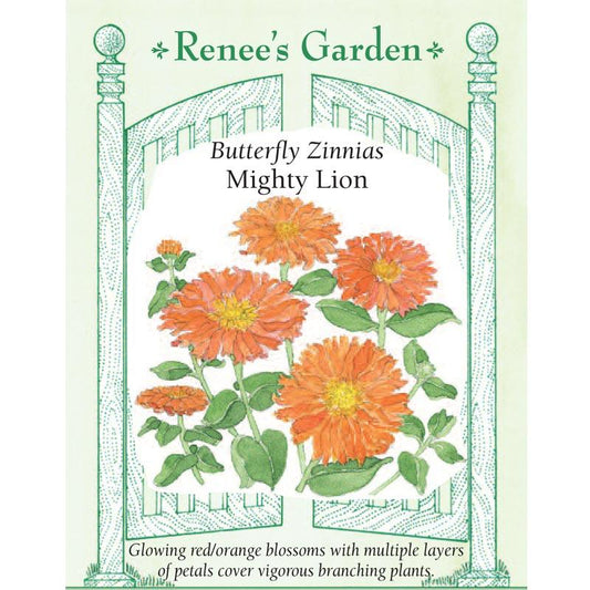 Renee's Garden Butterfly Zinnia Mighty Lion - Grow Organic Renee's Garden Butterfly Zinnia Mighty Lion Flower Seed & Bulbs