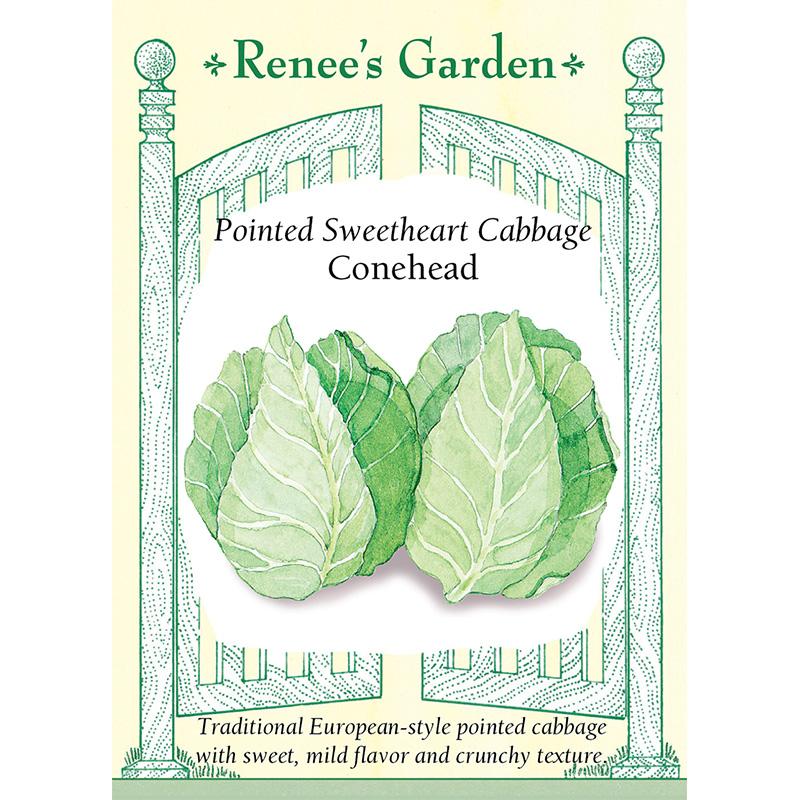Renee's Garden Cabbage Conehead Pointed Sweetheart Renee's Garden Cabbage Conehead Pointed Sweetheart Vegetable Seeds
