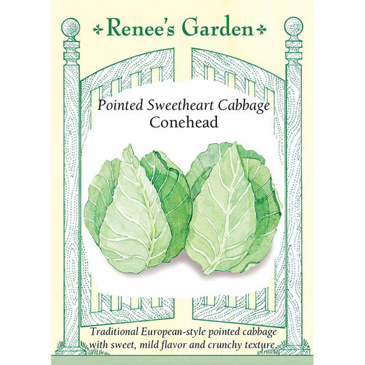 Renee's Garden Cabbage Conehead Pointed Sweetheart Renee's Garden Cabbage Conehead Pointed Sweetheart Vegetable Seeds