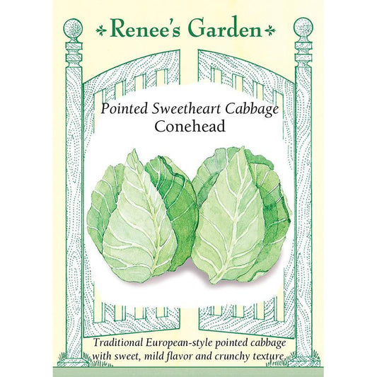 Renee's Garden Cabbage Conehead Pointed Sweetheart Renee's Garden Cabbage Conehead Pointed Sweetheart Vegetable Seeds