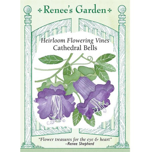 Renee's Garden Cathedral Bells Flowering Vine (Heirloom) Renee's Garden Cathedral Bells Flowering Vine (Heirloom) Flower Seed & Bulbs