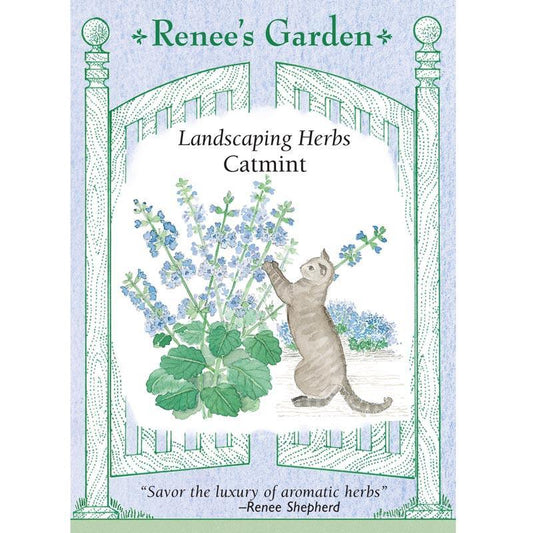 Renee's Garden Catmint - Grow Organic Renee's Garden Catmint Herb Seeds