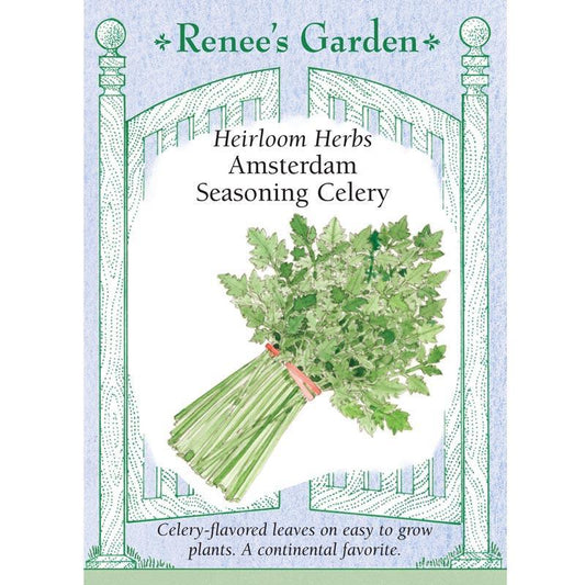 Renee's Garden Celery Amsterdam Seasoning (Heirloom) Renee's Garden Celery Amsterdam Seasoning (Heirloom) Herb Seeds