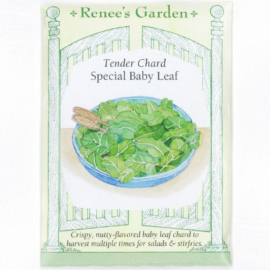 Renee's Garden Chard Tender Baby Leaf - Grow Organic Renee's Garden Chard Tender Baby Leaf Vegetable Seeds