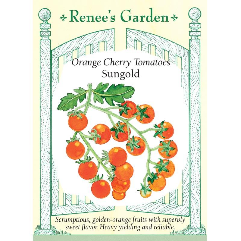 Renee's Garden Cherry Tomato Sungold Orange - Grow Organic Renee's Garden Cherry Tomato Sungold Orange Vegetable Seeds