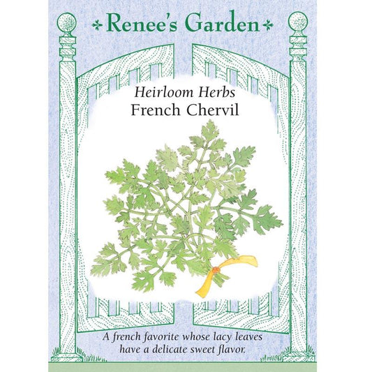 Renee's Garden Chervil French (Heirloom) - Grow Organic Renee's Garden Chervil French (Heirloom) Herb Seeds